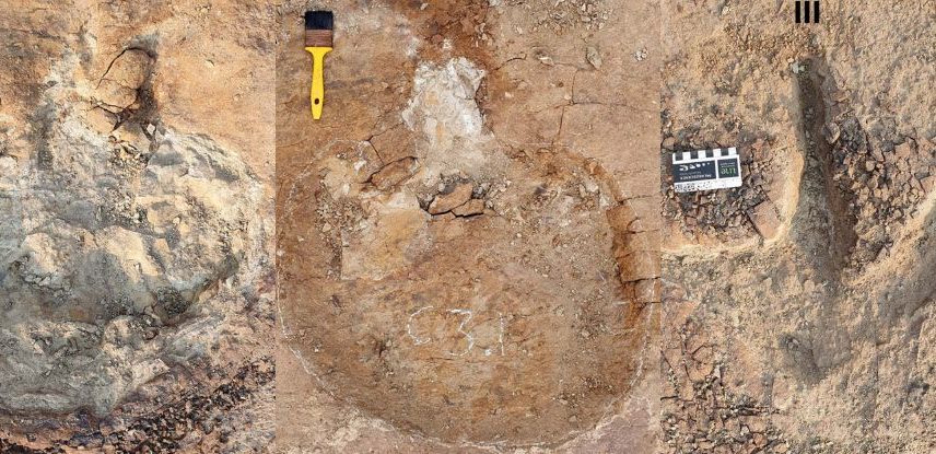 Pegadas de ceratopsídeos, anquilossauros e tiranossauros foram encontradas muito próximas umas das outras. (Foto: Bell et al., PLOS One, 2025/Reprodução)