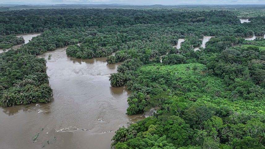 O rio Moa perto da Ilha Tiwai, em 1º de julho de 2025. (Foto: Saidu Bah/AFP via Getty Images)