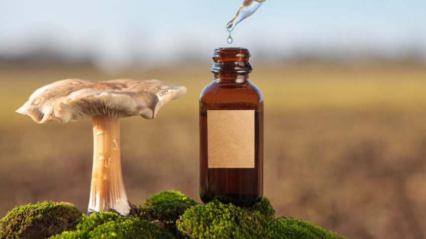 O impacto da presença de resíduos de medicamentos no meio ambiente afeta diversas regiões do mundo (Foto: Adobe Stock)