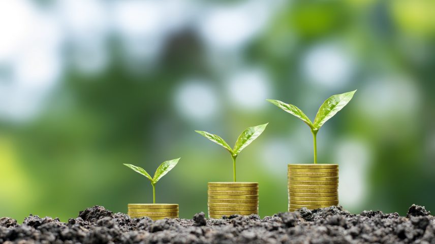 As mudanças climáticas podem reduzir o PIB global em 22% até 2100 (Foto: Freepik)