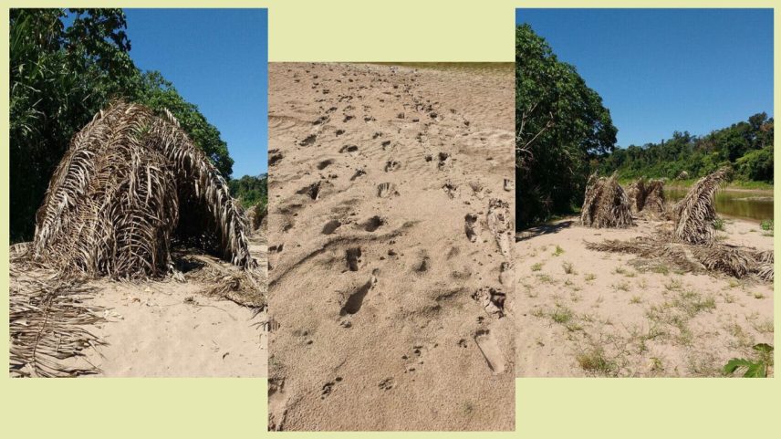 Grupo Mashco Piro em aparição rara no Rio Las Pedras em Madre de Dios, no Peru (Foto: Survival International)