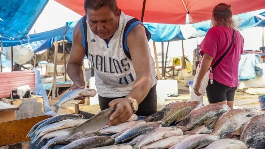 Setores de pescados e cítricos apontam primeiros impactos de medidas de Trump (Foto: Rafa Neddermeyer/Agência Brasil)