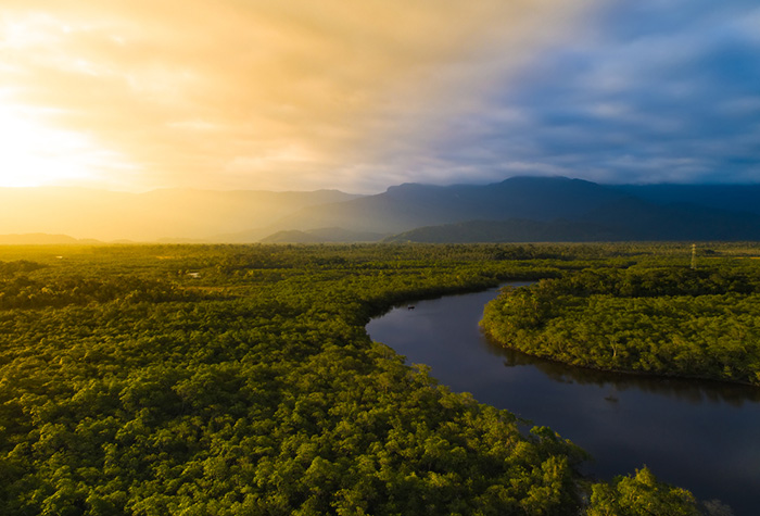 Meio ambiente (Foto: Divulgação/Arquivo)