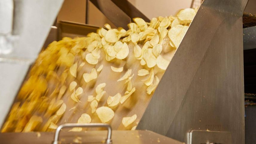 Batatas-semente em fazenda modelo que fornece produtos à PepsiCo (Foto: Sérgio Prado/Divulgação)
