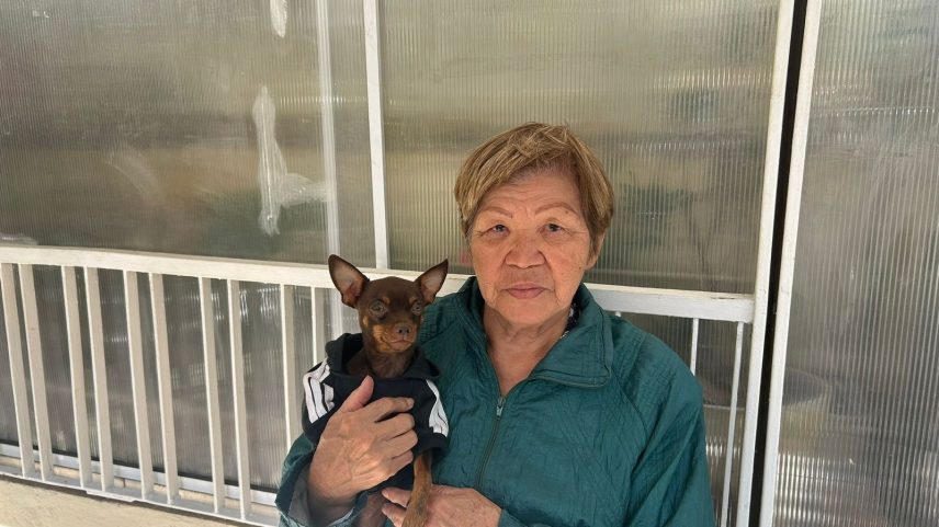 Yoko Okamura, 82, moradora de Pinheiros, teme pelo futuro da vila (Foto: Camila Corsini/UOL)