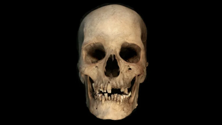 Testes no crânio podem fornecer novas percepções sobre a história antiga (Foto: Liverpool John Moores University. Nature)