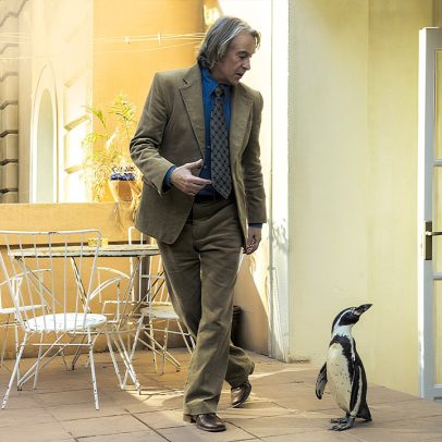 ‘Lições de Liberdade’ aborda amizade entre professor e pinguim em contexto político