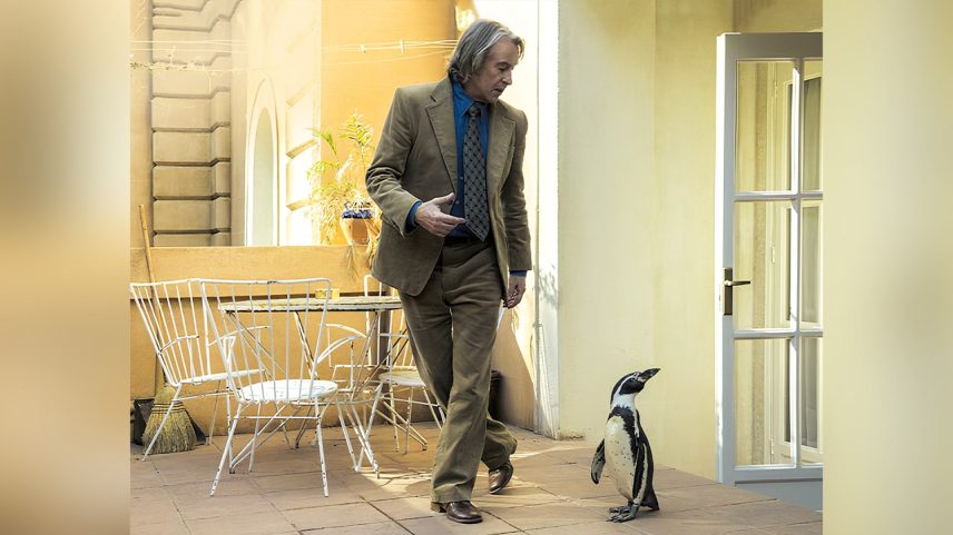 Lições de Liberdade: amizade de um professor com um pinguim na ditadura argentina (Foto: Diamond Films)