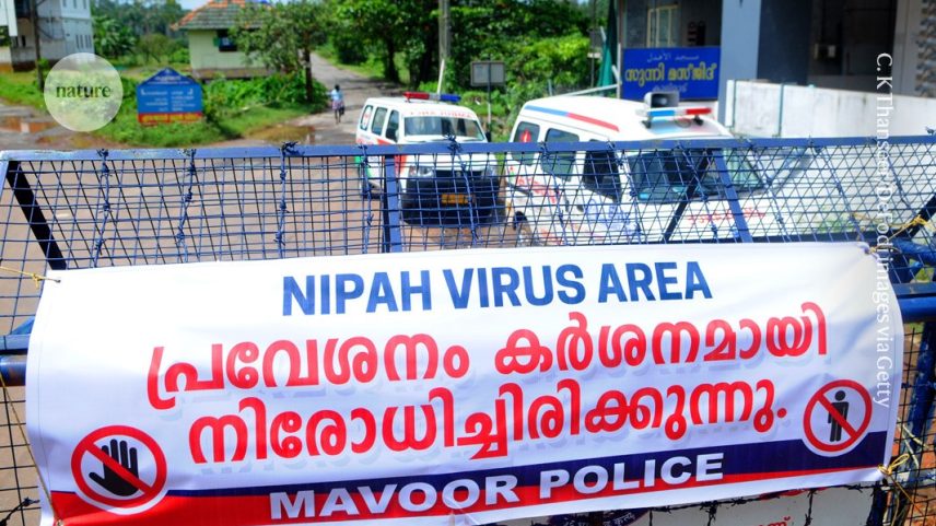 Não há vacinas ou tratamentos aprovados para o vírus Nipah. Casos foram relatados em Bangladesh, Índia e Malásia. (Foto: C. K Thanseer/DeFodi images via Getty)