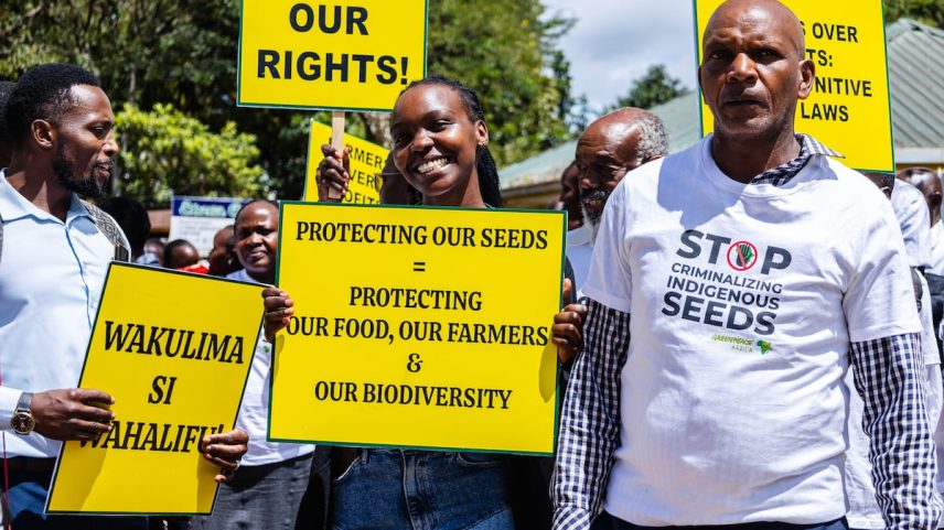 Francis Ngiri (à direita) junto a outros agricultores e ativistas durante a vista preliminar do julgamento contra a lei de sementes de Quênia, na cidade de Machakos, em maio de 2025. (Foto: GREENPEACE AFRICA)