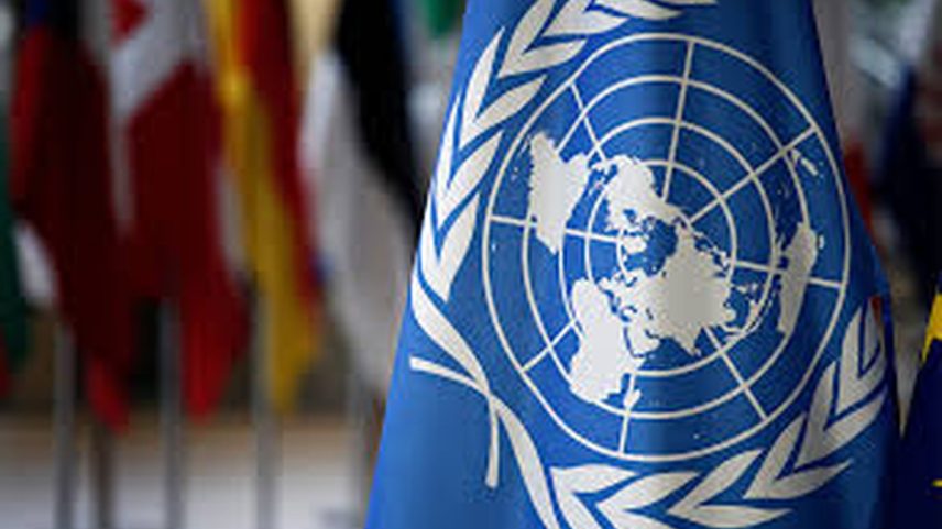Bandeira da ONU (Foto: Reprodução)