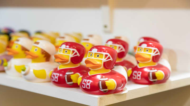 Uma linha de patos da revoada de Duck World. (Foto: Duck World)