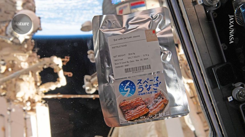 Comida espacial aprovada pela Agência de Exploração Aeroespacial do Japão pode ser desviada para uso durante respostas a desastres na Terra. (Foto: JAXA/NASA)