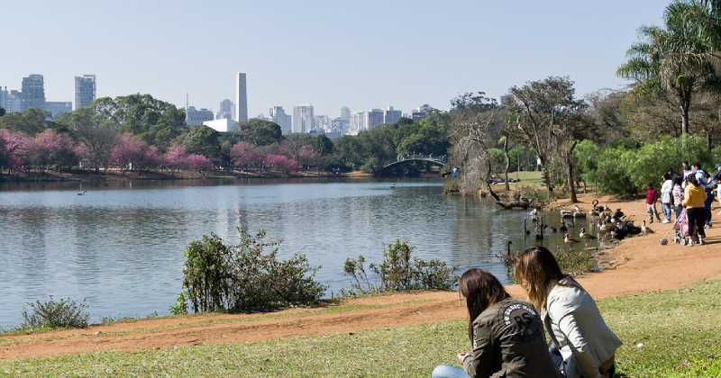 Parque Ibirapuera. Ao fundo, está um lago e, mais à frente, o terreno com grama. Do lado direito e abaixo, estão duas mulheres sentadas tomando sol. Há, também, algumas pessoas andando do lado superior direito, olhando para aves à beira do lago. (Foto: USP Imagens)