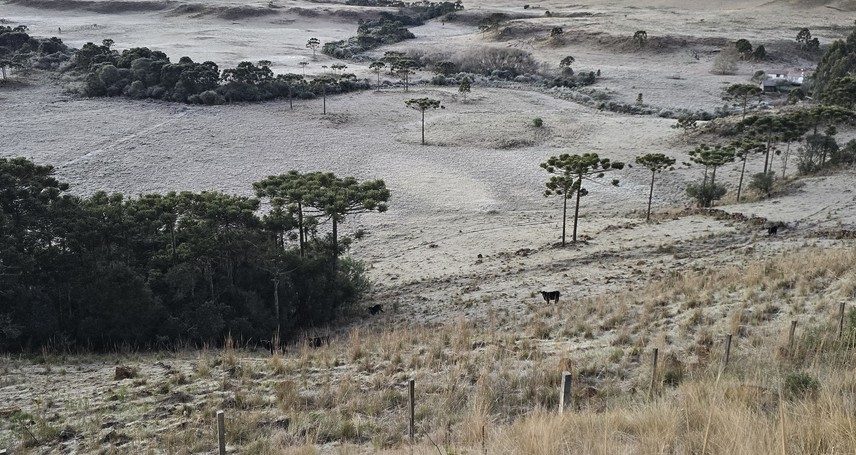 São Joaquim, na Serra catarinense, nesta quarta-feira, 2 de julho (Foto: Mycchel Legnaghi/Divulgação)