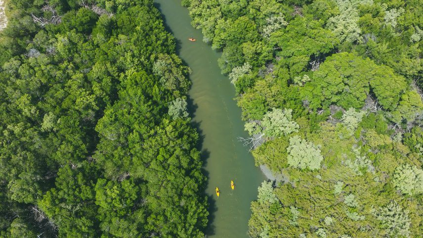 Rota das Emoções - Passeio de Caique Pelo Rio Camurupim, no Rio Grande do Norte (Foto: Divulgação)