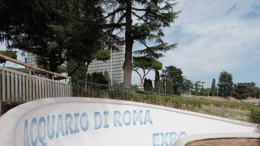 Projeto construído para abrir neste ano ainda precisa de 20 milhões de euros para equilibrar contas e concluir obras, mas enfrenta disputas financeiras e impasses legais (Foto: Reprodução)