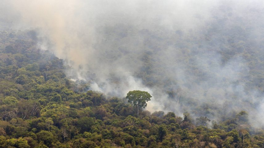 Incêndios florestais de grandes dimensões atingem a amazônia na Terra Indígena Kayapó (PA) (Foto: Marizilda Cruppe - 11.set.24/Greenpeace Brasil/Divulgação)