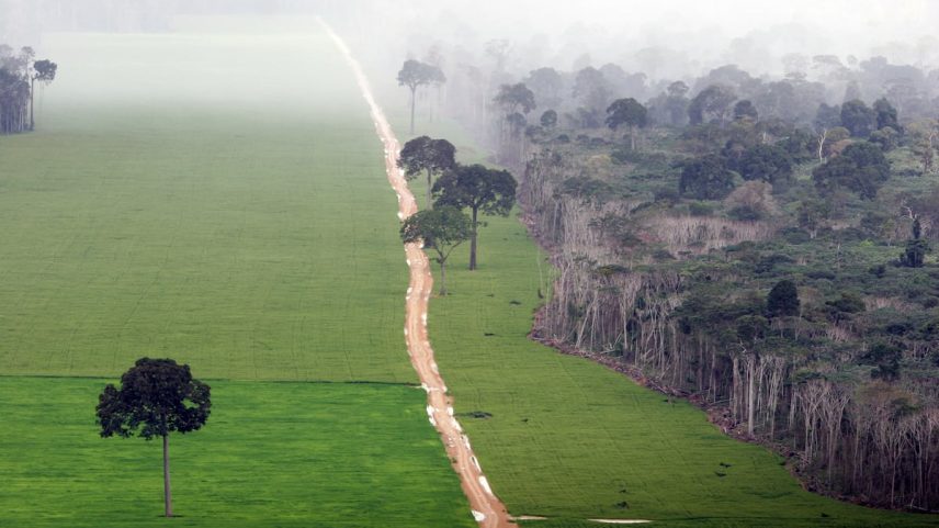 Terreno deforestado para plantar soja junto à selva amazônica no Estado brasileiro de Pará. (Foto: Brazil Photos (LightRocket via Getty Images))