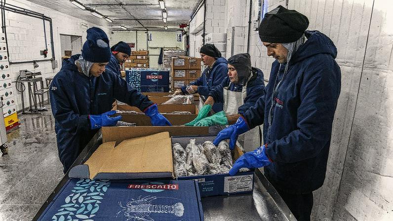 Funcionários da fábrica da Frescatto processam o pescado (Foto: Guito Moreto)
