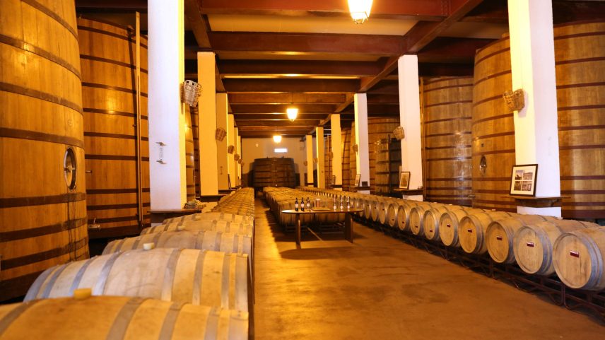 Foto de adega de vinho na cidade de Favaios, em Portugal, em julho (Foto: Xun Wei/Xinhua)