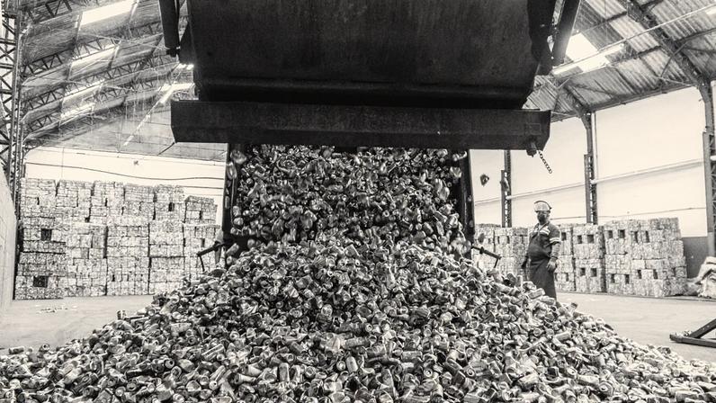 Latas de alumínio em processo de reciclagem (Foto: Divulgação)