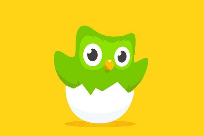 Duolingo: empresa levantou mais 25 milhões de dólares (Foto: Duolingo/Reprodução)