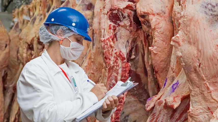 Carne vai ficar "praticamente inacessível" para o consumidor americano com tarifaço (Foto: Clio - stock.adobe.com)