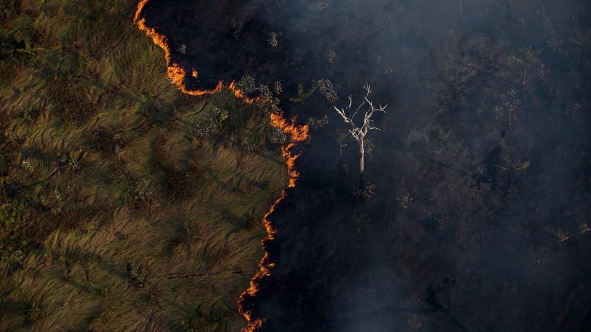 Lei de licenciamento ambiental sofreu 63 vetos presidenciais; MP cria procedimento acelerado para empreendimentos estratégicos como alternativa. (Foto: Bruno Kelly/Amazonia Real)