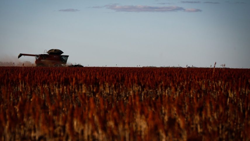 Agronegócio brasileiro depende de fertilizantes importados (Foto: Pablo Jacob / Agência O Globo)