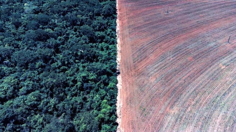 Desmatamento em área de Cerrado para o plantio de soja no estado de Mato Grosso do Sul (Foto: Edilson Dantas / O Globo)