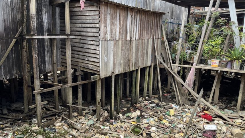 Palafitas da Vila da Barca dividem espaço com muito lixo e animais. (Foto: Juliana Bessa / g1)