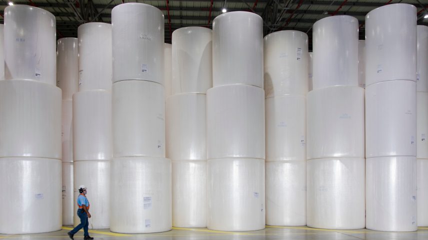 Bobinas de papel da Suzano (Foto: Divulgação)