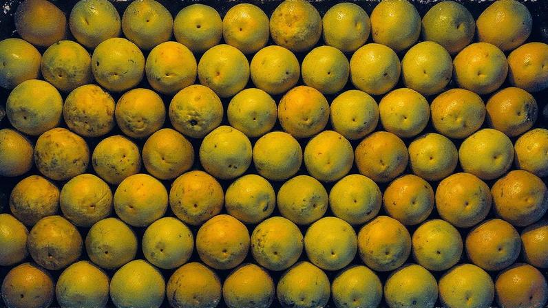 Laranja (Valter Campanato/Agência Brasil)