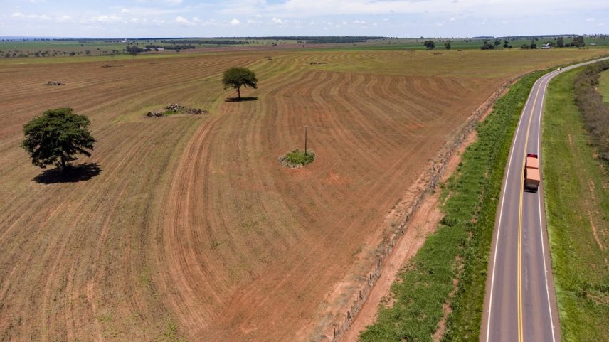 Desmatamento em área de plantio de soja: (Foto: Edilson Dantas/Ag. O Globo)