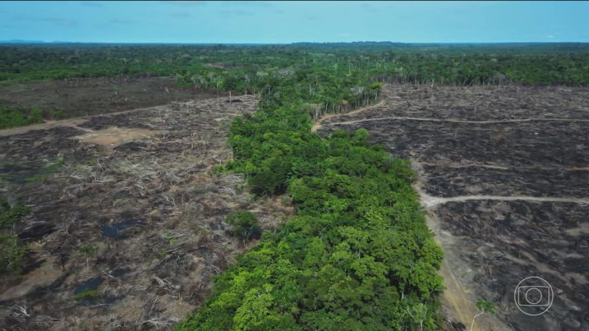 Desmatamento na Amazônia aumenta no primeiro semestre de 2025 depois de 2 anos em queda (Foto: Reprodução/TV Globo)