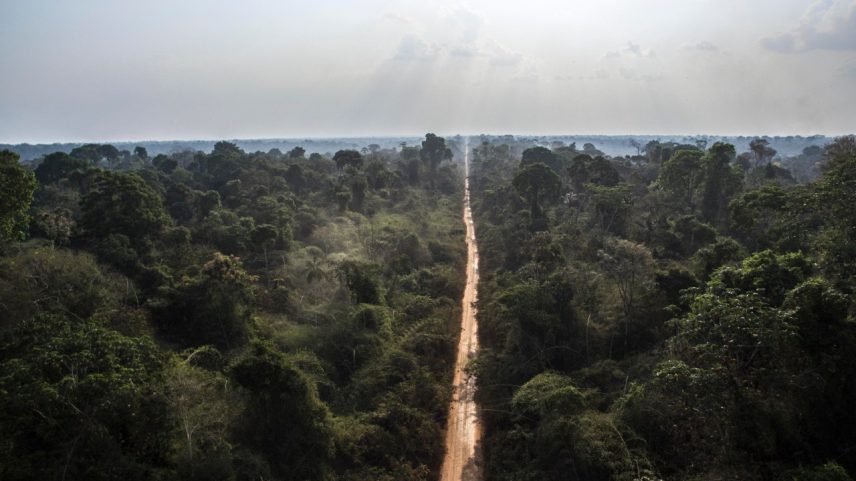 Nova estrada planejada pelo governo cruza áreas protegidas e pode expulsar comunidades indígenas do povo Maijuna, que somam menos de 600 pessoas. (Foto: Jonne Roriz/VEJA)