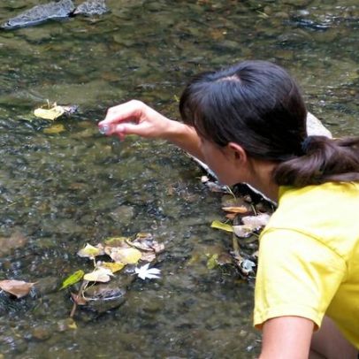 Químicos PFAS encontrados em 98% das águas dos EUA