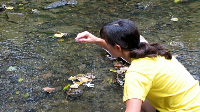 Water sampling in a stream