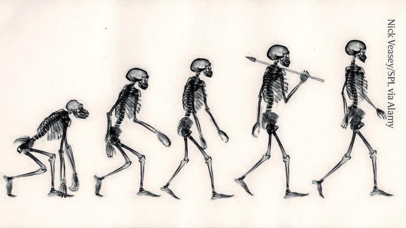 Humanos têm caminhado sobre duas pernas por milhões de anos. (Foto: Nick Veasey/SPL via Alamy)