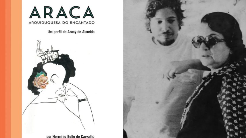 Novo livro sobre Aracy de Almeida (Foto: Reprodução)