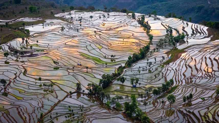 Terraços de arroz na província chinesa de Yunnan. (Foto: Peter ZHOU / GETTY IMAGES)