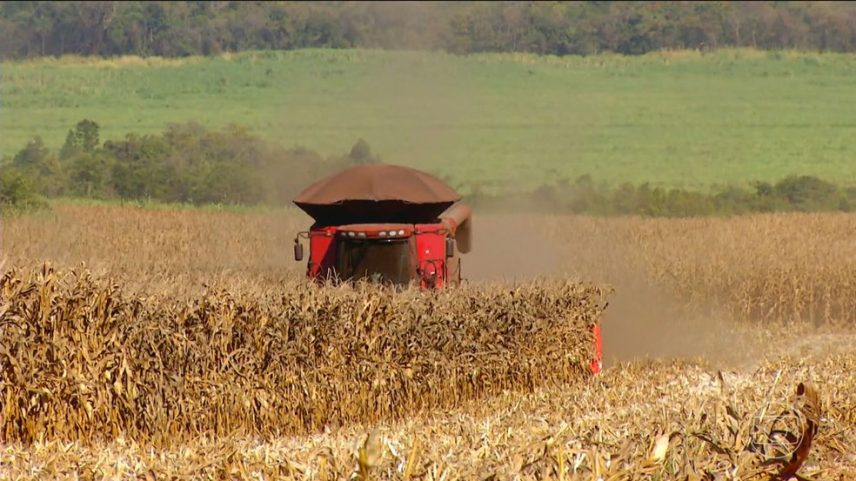 Brasil prevê ​produção recorde de grãos, mas 40% da colheita não têm onde ser estocados (Foto: Reprodução/TV Globo)