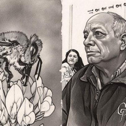 Primavera aumenta risco de ataques de abelhas e causa mortes em SP e GO