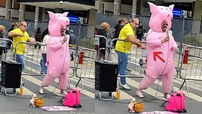 Homem golpeia 'porquinho da Paulista' com garfo durante manifestação de 7 de setembro (Foto: Reprodução)
