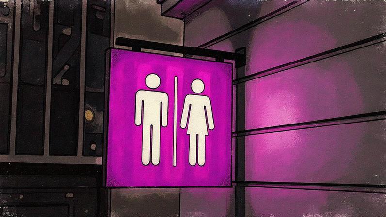 Uso de banheiro por pessoas trans conforme sua identidade é alvo de leis (Foto: Reprodução)