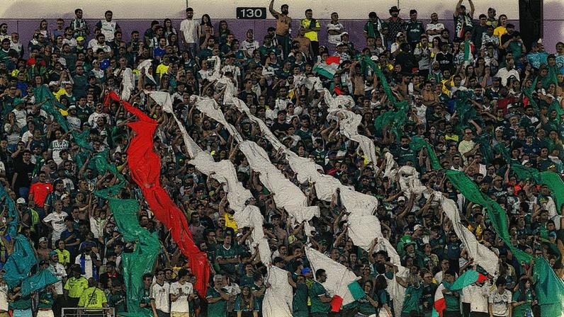 Torcida do Palmeiras em jogo contra o Chelsea pelo Mundial de Clubes (Foto: Reprodução)