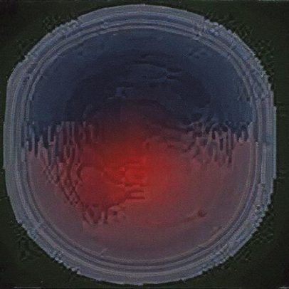 Penix fica duvidoso para duelo entre Falcões e Golfinhos neste domingo