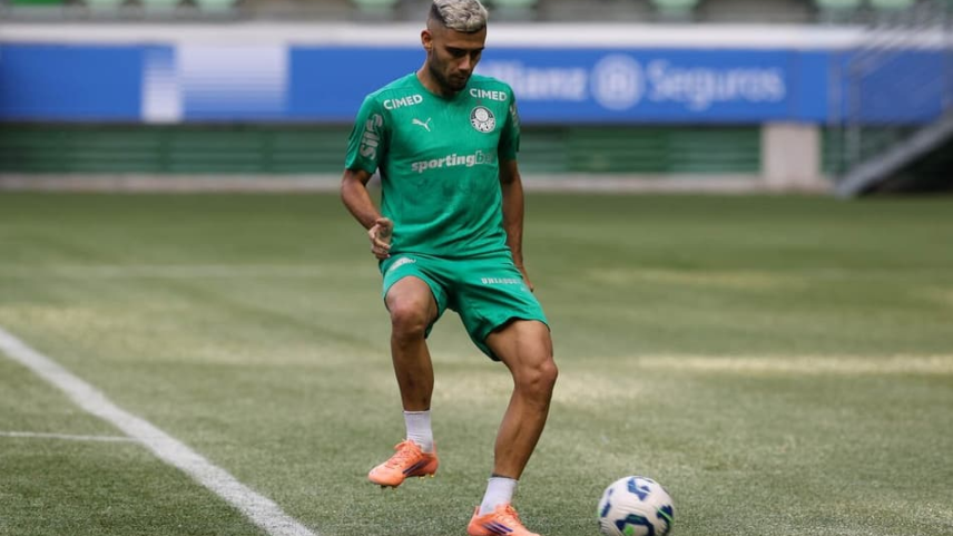 (Foto: Cesar Greco/Palmeiras/by Canon)
