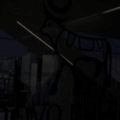 Fracasso dos testes de semaglutida abala Novo Nordisk